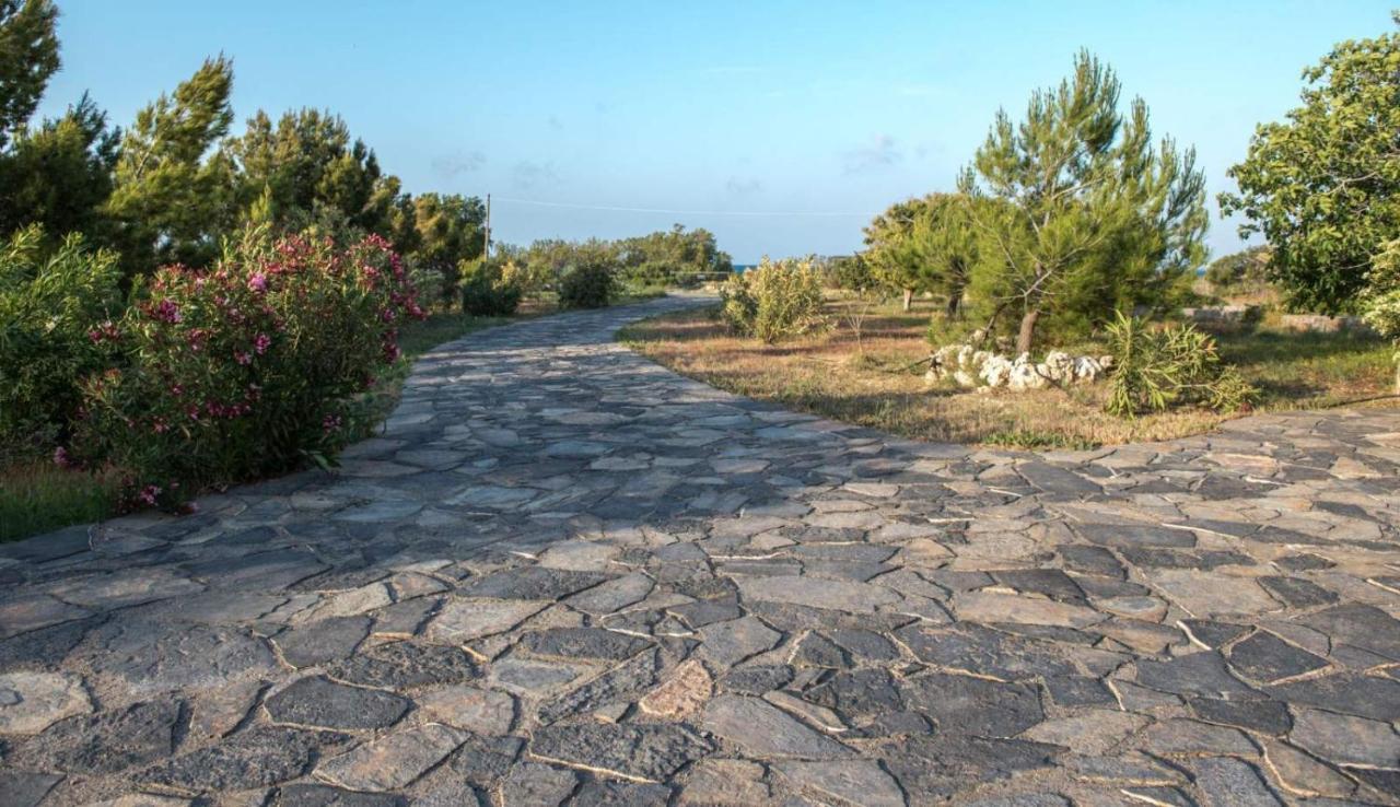 Kouremenos Beach House West سيتيا المظهر الخارجي الصورة